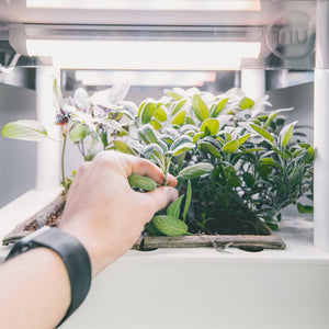 Indoor Gardening - Future is here!